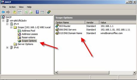 Scope Options của DHCP Server